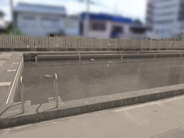 解体前写真：菊住小プール様（鉄筋コンクリート造）｜名古屋市南区
